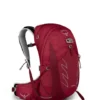 Osprey Men's Talon 22 Backpack - L/XL - Cosmic Red