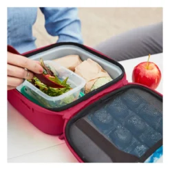 Hydro Flask Small Insulated Lunch Box - Snapper 7 Hydro Flask Small Insulated Lunch Box - Snapper -Camping Series Store LBS604 d8 84432.1681418063