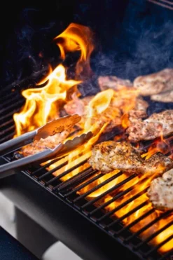 Camp Chef BBQ Tool Set - N/A -Camping Series Store SPTSET d 33181.1684160947